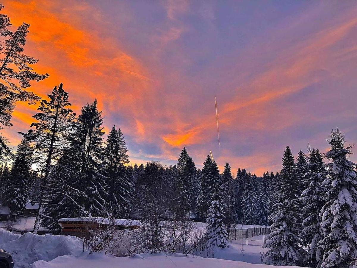 Dren Chalet Lux - Banjska Stena Perucac Esterno foto