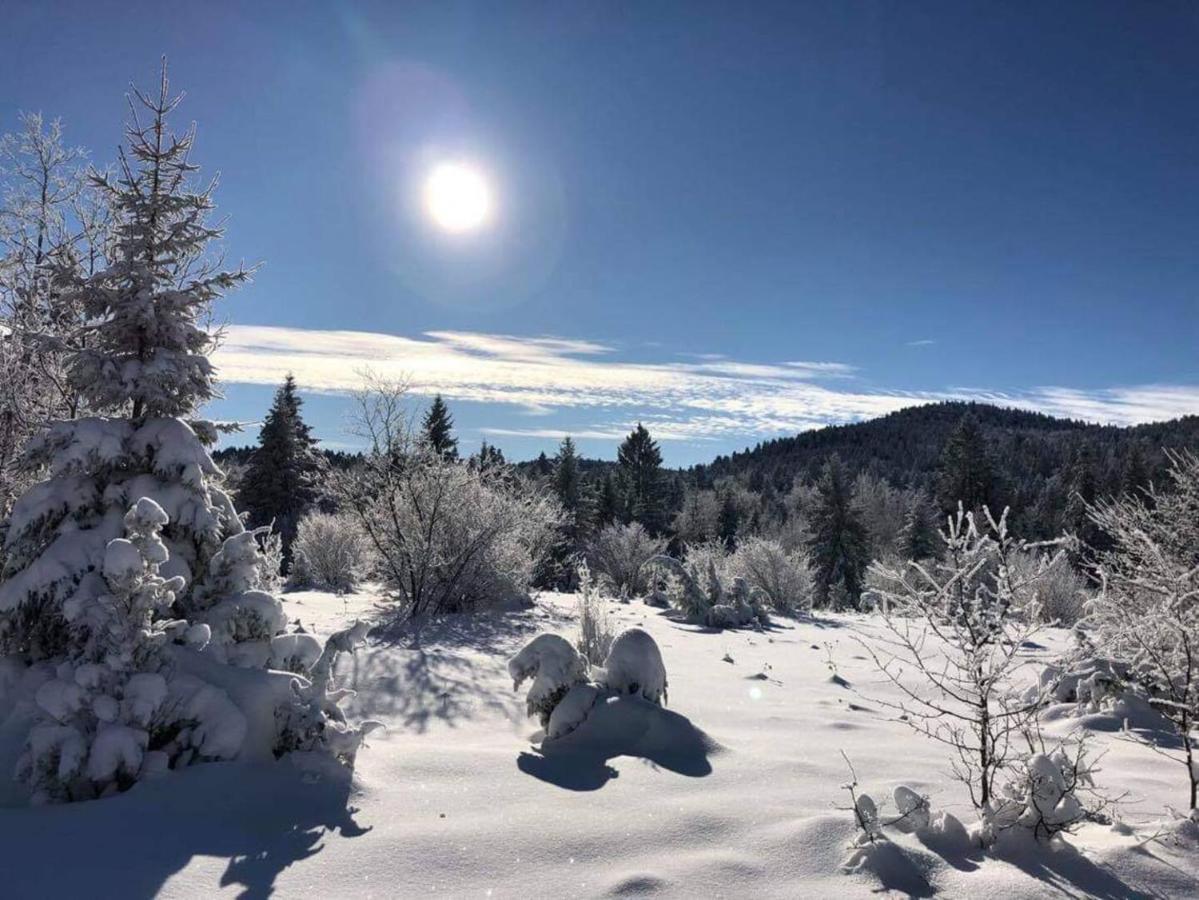 Dren Chalet Lux - Banjska Stena Perucac Esterno foto